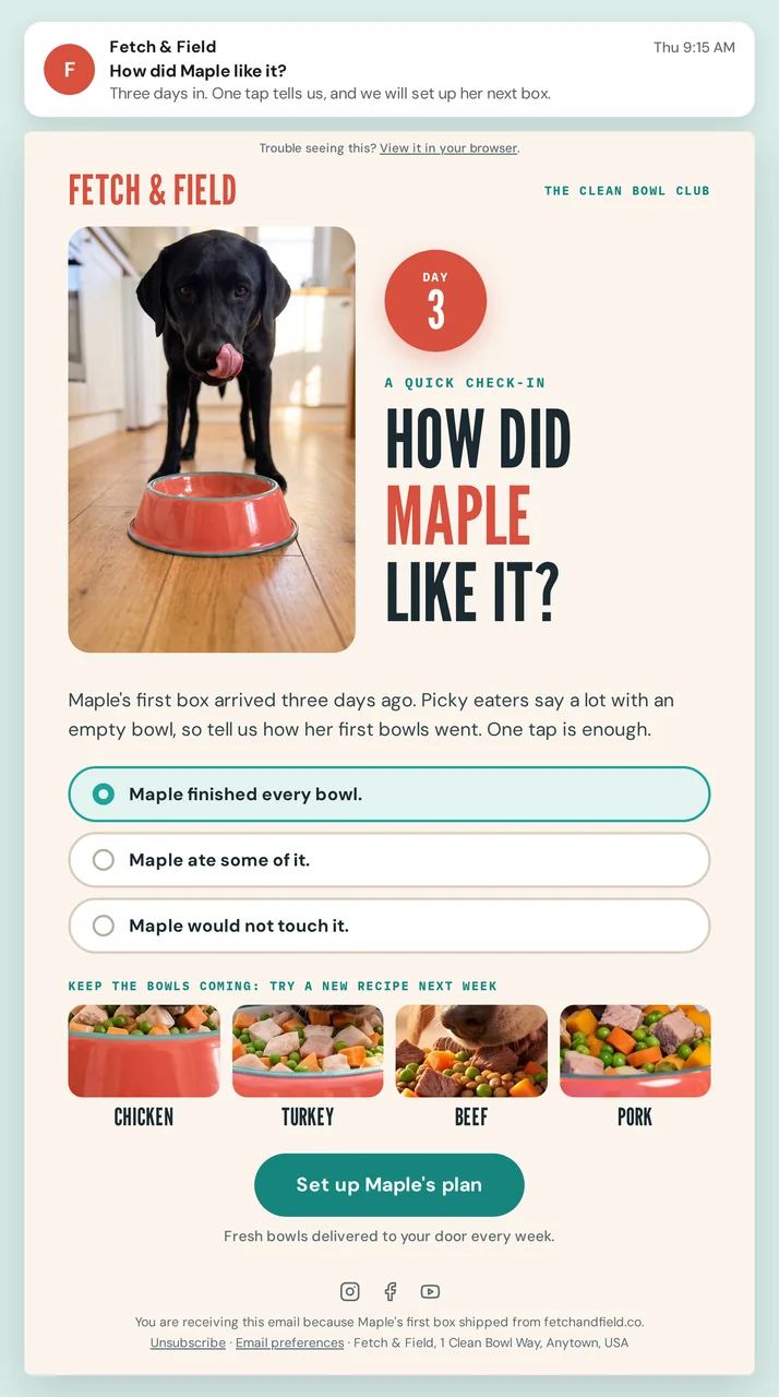 Fetch & Field day-3 check-in email creative