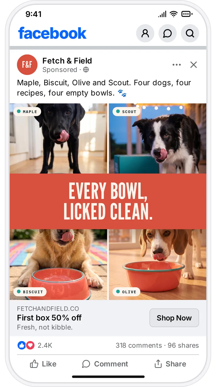 Fetch & Field fresh dog food Facebook ad
