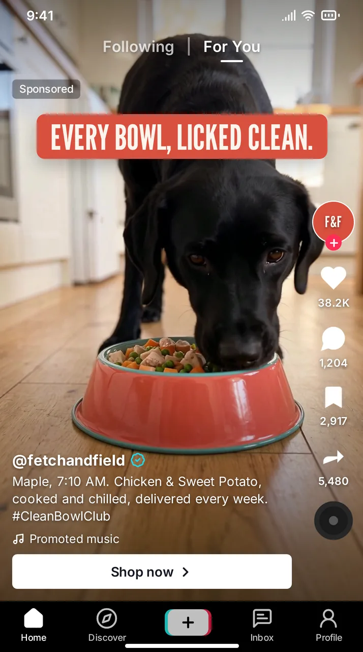 Fetch & Field fresh dog food TikTok ad